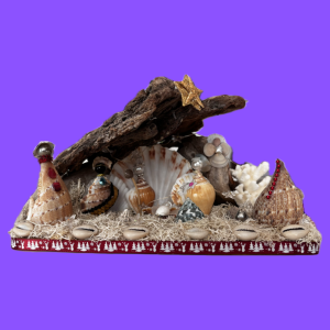 creche en bois flotte