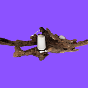 lampe en bois flotte