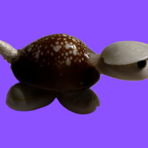 animaux et figurine