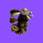animaux et figurine